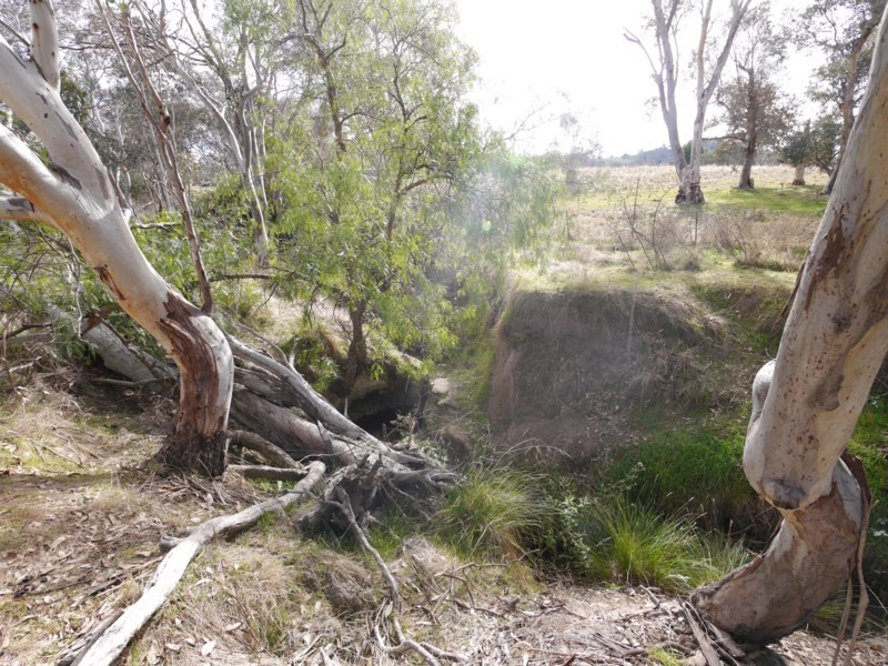 Lot 5 Glen Avon Road, Darbys Falls NSW 2793