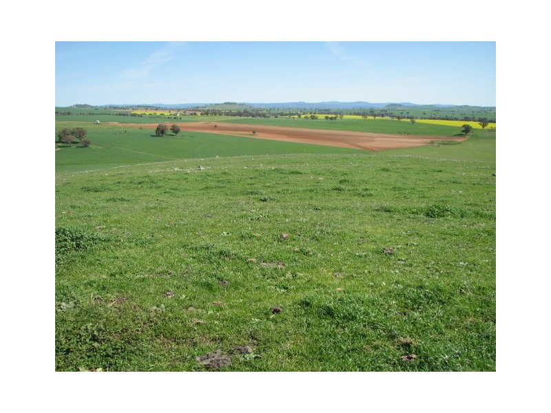 359 Gallaghers Road, Canowindra NSW 2804