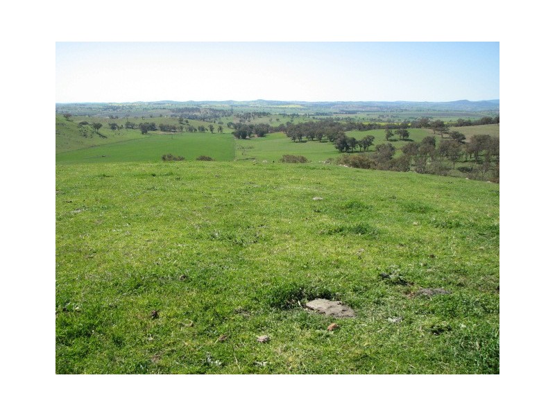 359 Gallaghers Road, Canowindra NSW 2804