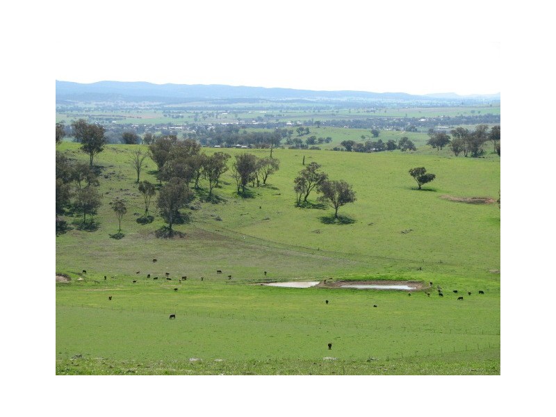 359 Gallaghers Road, Canowindra NSW 2804