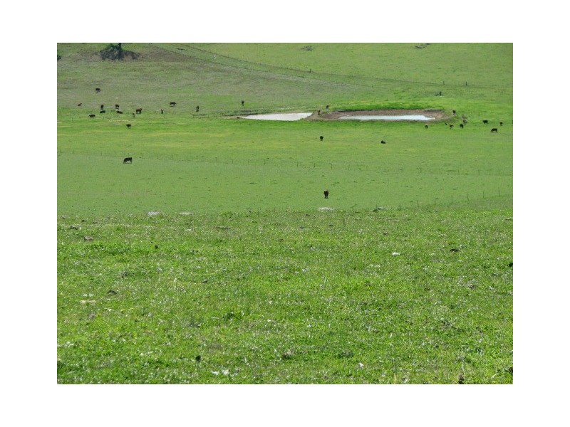 359 Gallaghers Road, Canowindra NSW 2804