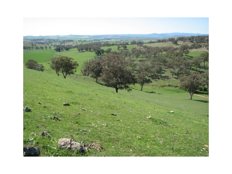 359 Gallaghers Road, Canowindra NSW 2804