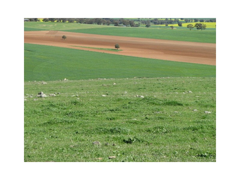 359 Gallaghers Road, Canowindra NSW 2804