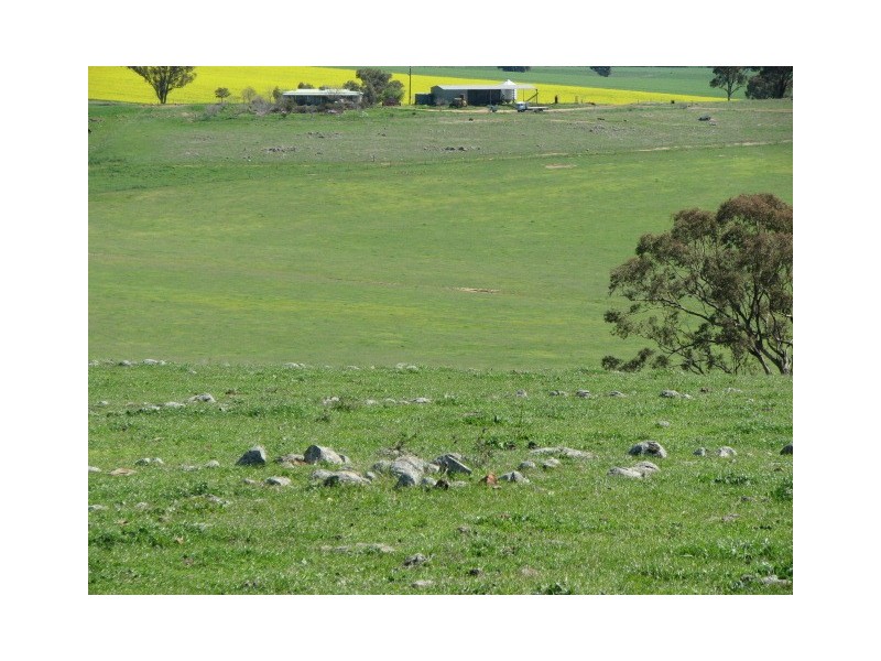 359 Gallaghers Road, Canowindra NSW 2804