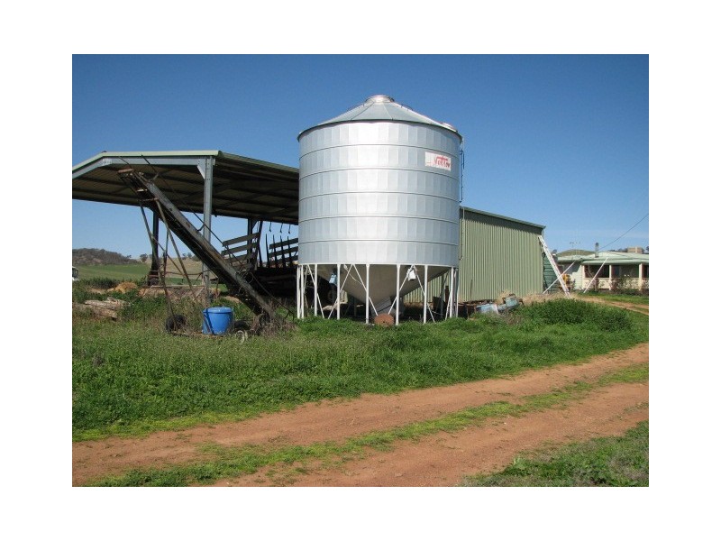 359 Gallaghers Road, Canowindra NSW 2804