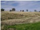 Lot 23 Pride Of Oak Road, Canowindra NSW 2804