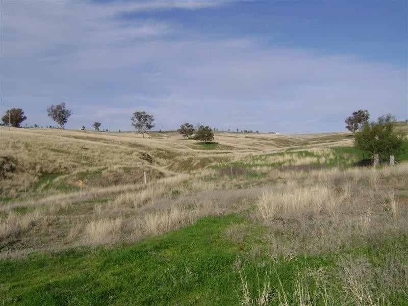Lot 23 Pride Of Oak Road, Canowindra NSW 2804