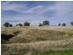 Lot 23 Pride Of Oak Road, Canowindra NSW 2804