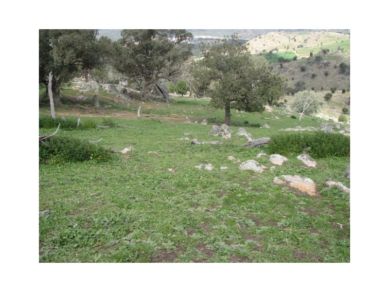 Lot 56 Reg Hailstone Way, Wyangala NSW 2808