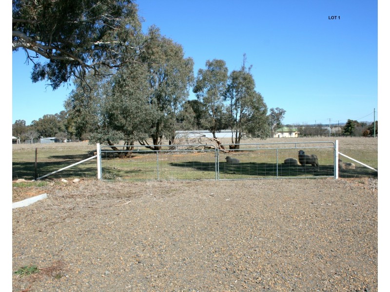 Lot 3 Tilga Street, Canowindra NSW 2804