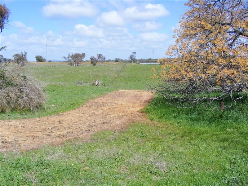 48 Taragala Street, Cowra NSW 2794
