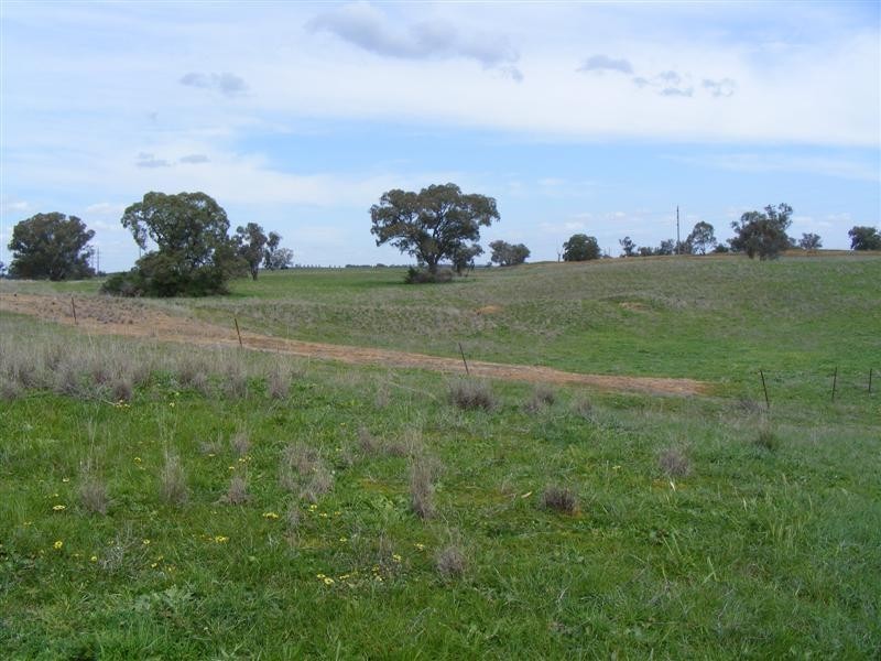 48 Taragala Street, Cowra NSW 2794
