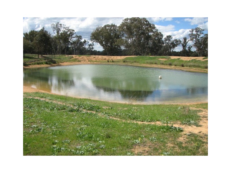 85 Old Boorowa Road, Cowra NSW 2794