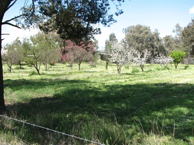 85 Old Boorowa Road, Cowra NSW 2794