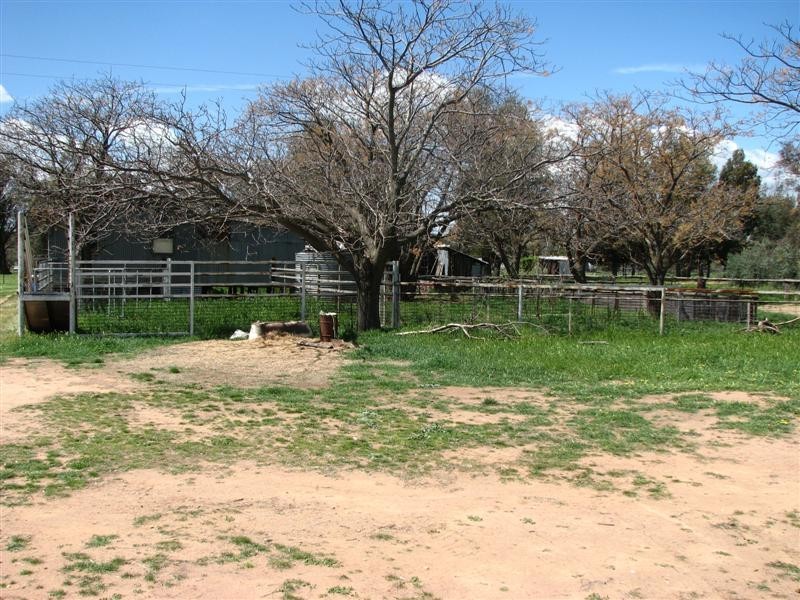 85 Old Boorowa Road, Cowra NSW 2794