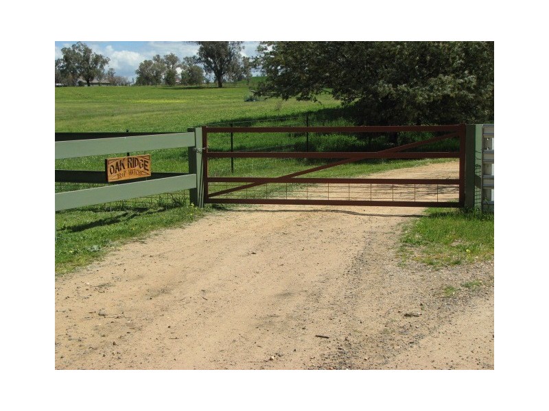 85 Old Boorowa Road, Cowra NSW 2794