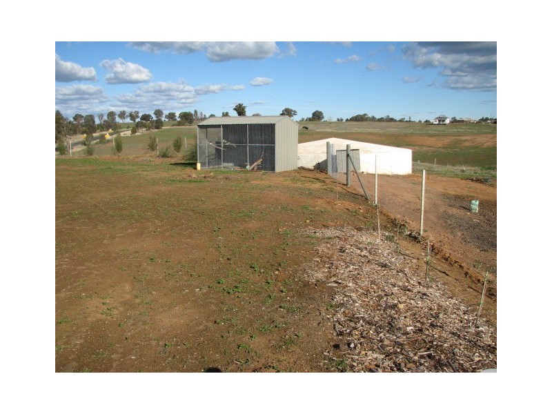 Lot 4, 313 Elouera Road, Cowra NSW 2794