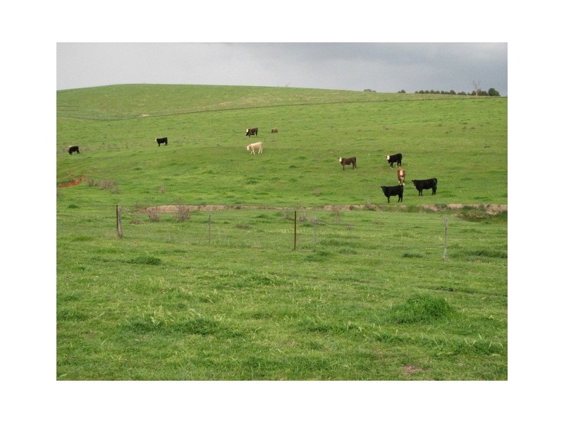 1713 Frogmore Road, Frogmore NSW 2586