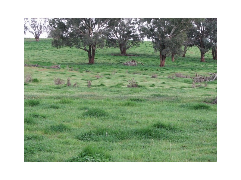 1713 Frogmore Road, Frogmore NSW 2586