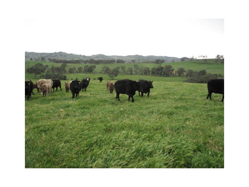 1713 Frogmore Road, Frogmore NSW 2586