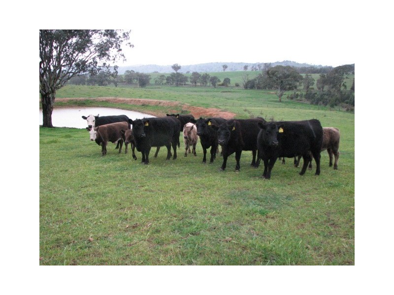 1713 Frogmore Road, Frogmore NSW 2586