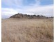 Lot 5 Glen Avon Road (Darbys Falls), Cowra NSW 2794