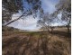 Lot 5 Glen Avon Road (Darbys Falls), Cowra NSW 2794