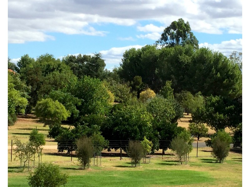 3 Gower Hardy Circuit, Cowra NSW 2794