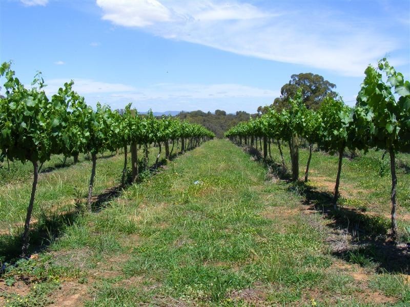 42 Delaneys Road, Cowra NSW 2794