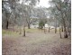 2625 Mid Western Highway, Bumbaldry NSW 2794