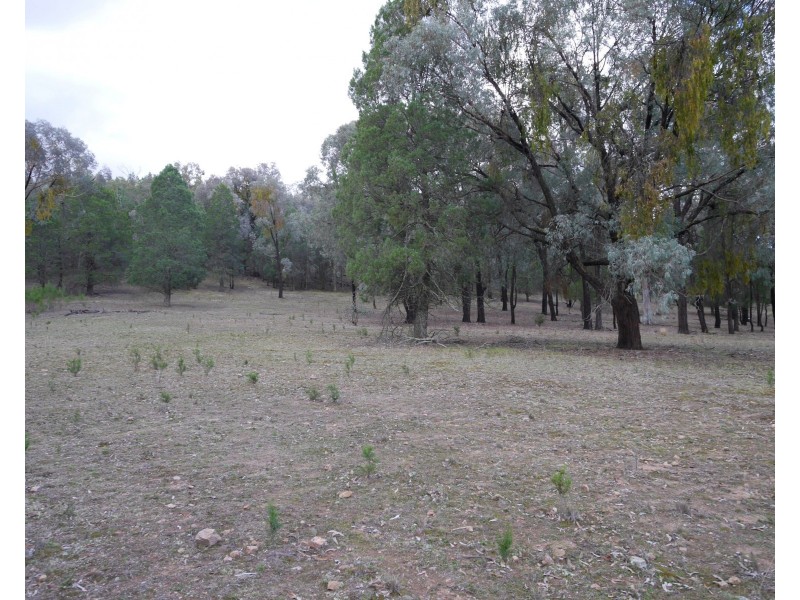 2626 Mid Western Highway, Cowra NSW 2794