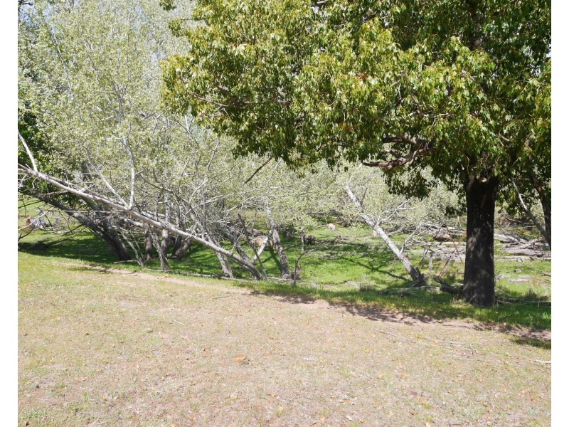 2626 Mid Western Highway, Cowra NSW 2794