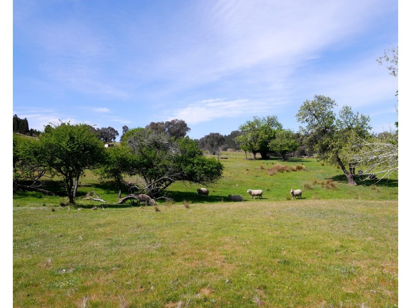 2626 Mid Western Highway, Cowra NSW 2794