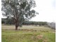 2626 Mid Western Highway, Cowra NSW 2794