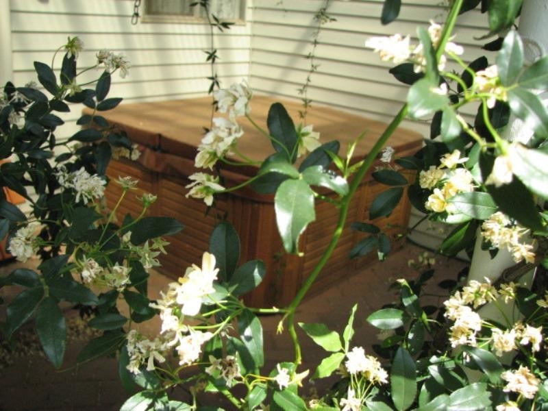 9 Cowra Street, Gooloogong NSW 2805