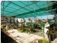 2 East Street, Gooloogong NSW 2805