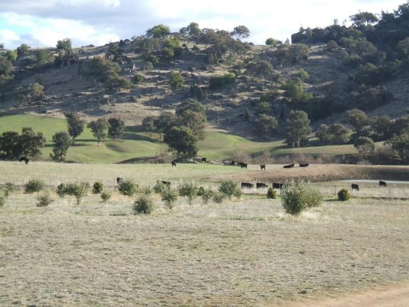 Lot 104 Darbys Falls Road, Wyangala NSW 2808