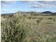 Lot 104 Darbys Falls Road, Wyangala NSW 2808