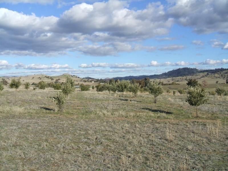 Lot 104 Darbys Falls Road, Wyangala NSW 2808