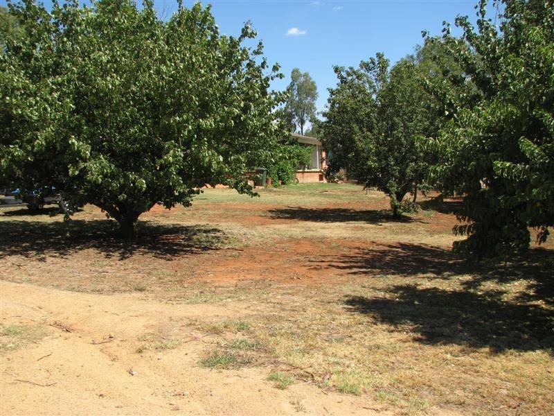 439 Porters Mount Road, Cowra NSW 2794