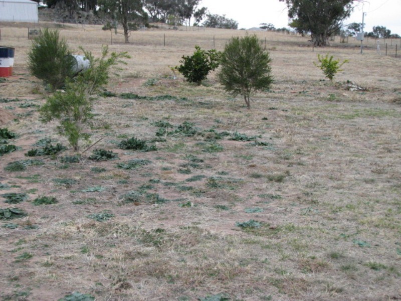 50 Milburn Creek Road, Cowra NSW 2794