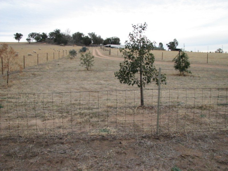 50 Milburn Creek Road, Cowra NSW 2794