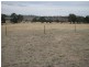 50 Milburn Creek Road, Cowra NSW 2794