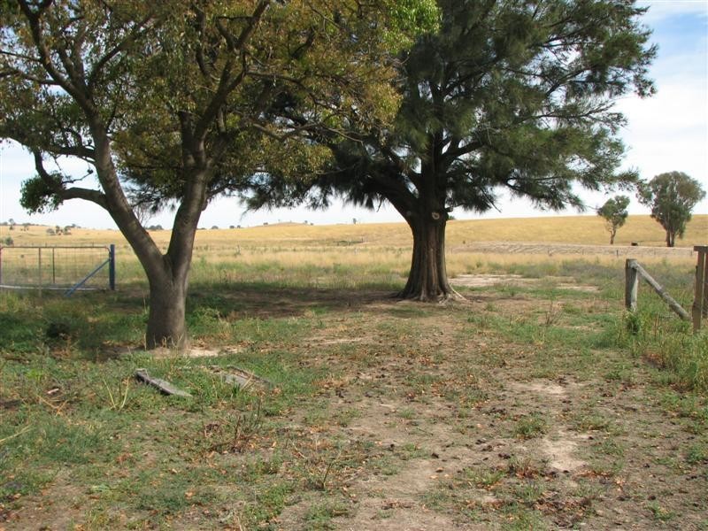 6384 Mid Western Highway, Lyndhurst NSW 2797