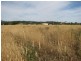 6384 Mid Western Highway, Lyndhurst NSW 2797