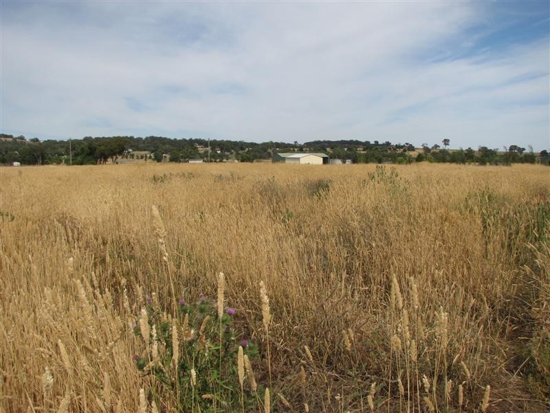 6384 Mid Western Highway, Lyndhurst NSW 2797