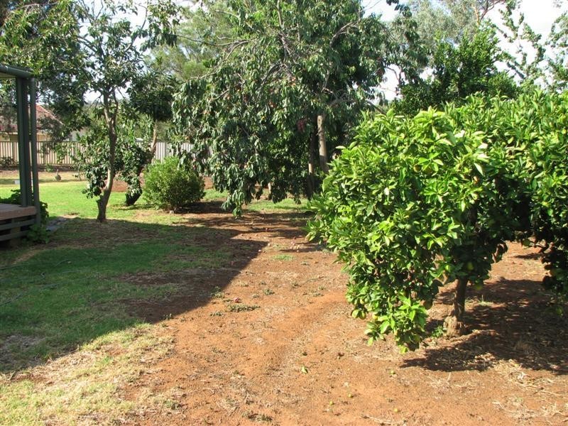 2-4 Belmore Street, Woodstock NSW 2793