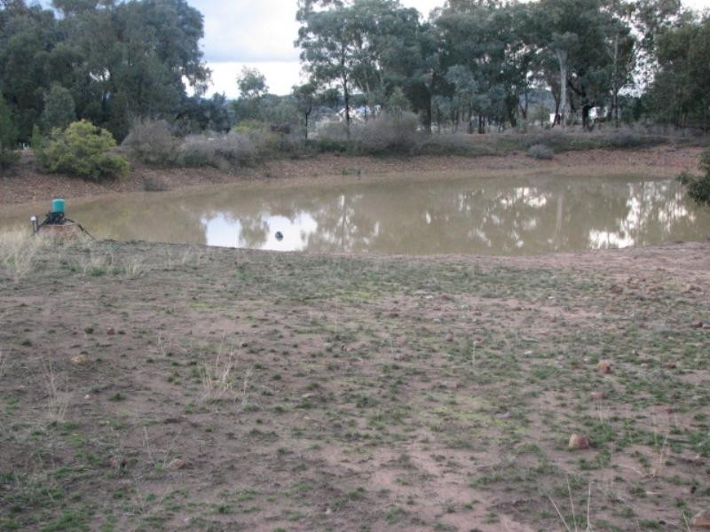 Lot 16 Stoney Hill Road, Cowra NSW 2794