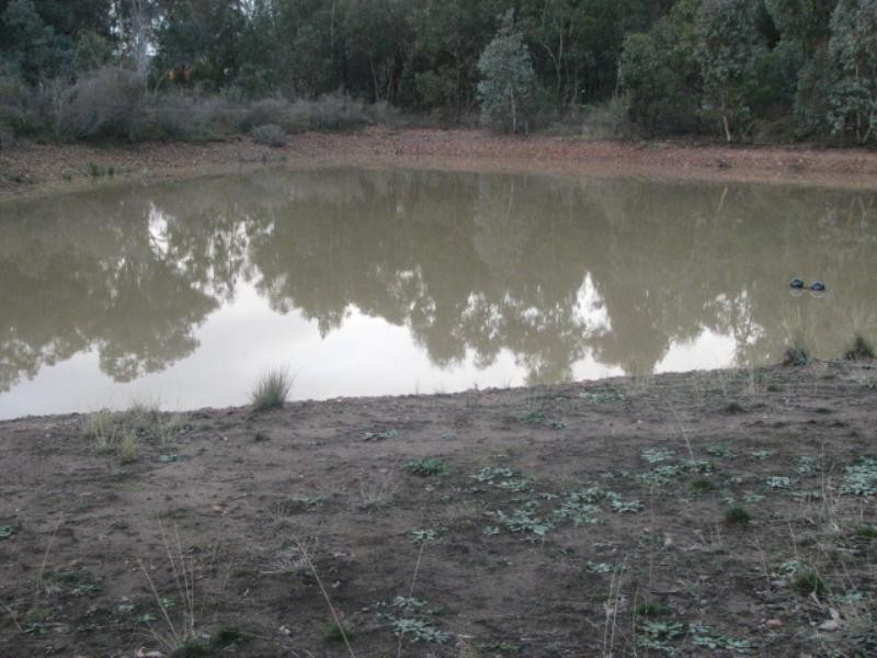 Lot 16 Stoney Hill Road, Cowra NSW 2794