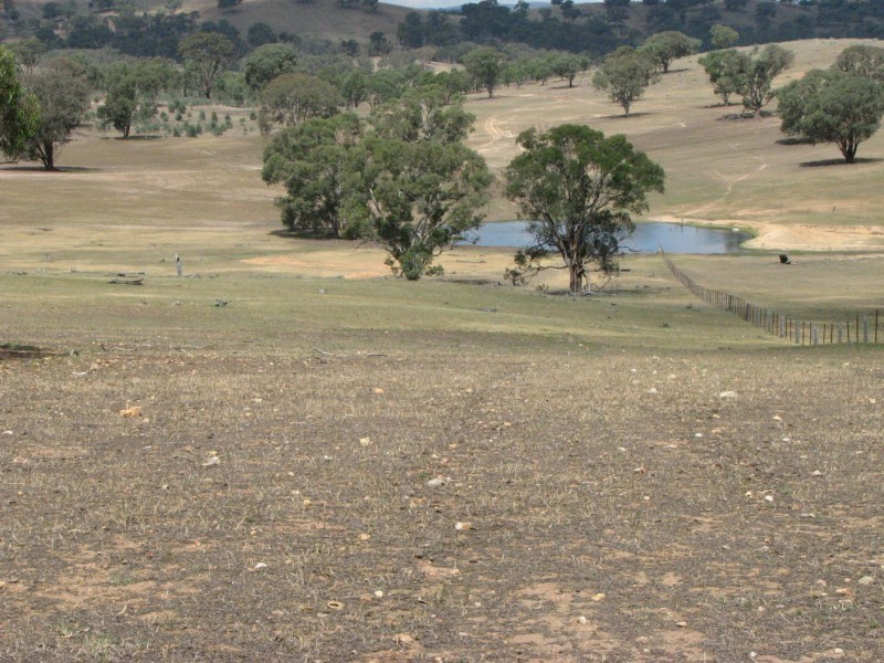1 ‘Rogilla’ & ‘Bimberoo’, Boorowa NSW 2586